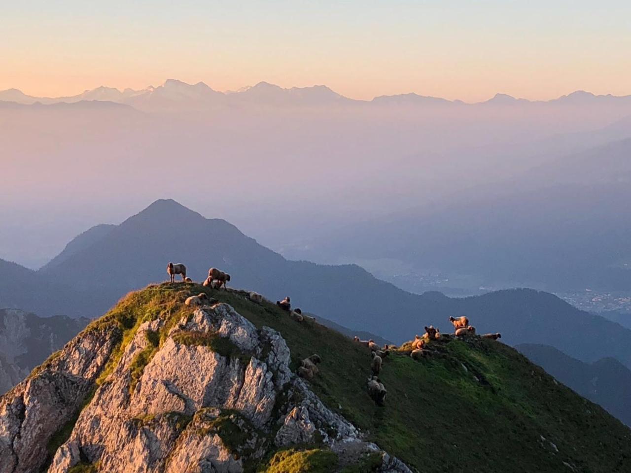 Hotel Menthof Seefeld in Tirol Bagian luar foto