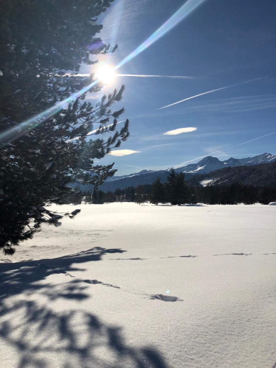 Hotel Menthof Seefeld in Tirol Bagian luar foto